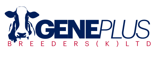 Best Web developer, Kenya,